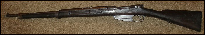 Steyr Mannlicher 1895